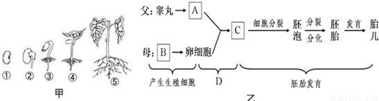 韩玉臣荣获佛罗伦萨双年展最高荣誉伟大的洛伦佐终身成就奖‘开元APP’(图1) 开元体育