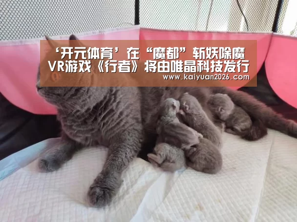 ‘开元体育’在“魔都”斩妖除魔 VR游戏《行者》将由唯晶科技发行(图4) 开元赛事