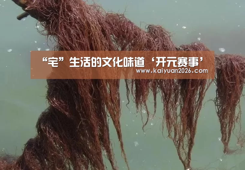 开元APP