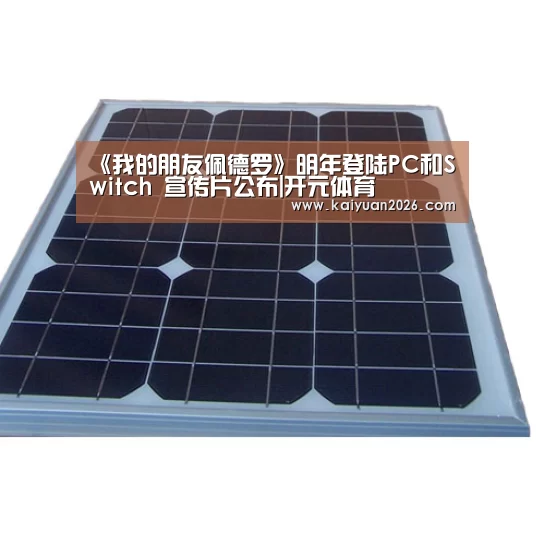 《我的朋友佩德罗》明年登陆PC和Switch 宣传片公布|开元体育(图3) 开元APP