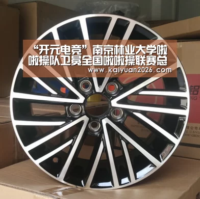 “开元电竞”南京林业大学啦啦操队卫冕全国啦啦操联赛总决赛冠军(图3) 开元体育