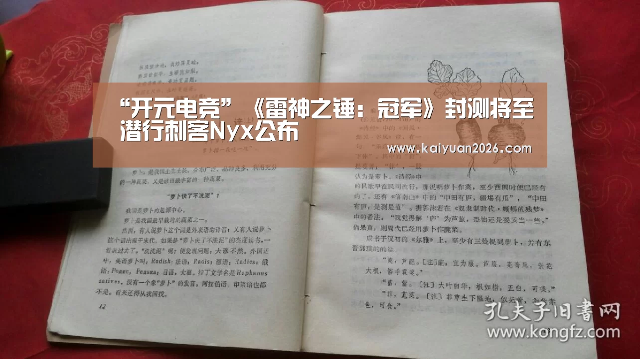 “开元电竞”《雷神之锤:冠军》封测将至 潜行刺客Nyx公布(图1) 开元体育