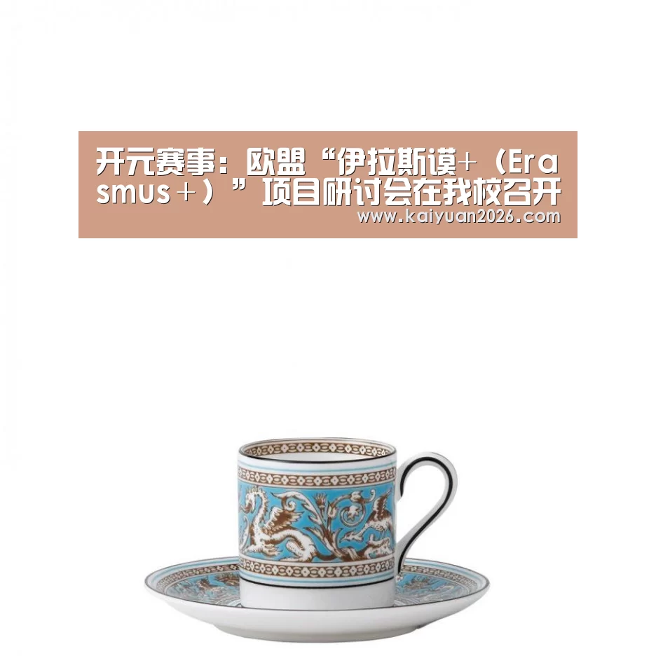 开元赛事:欧盟“伊拉斯谟+(Erasmus+)”项目研讨会在我校召开(图2) 开元APP