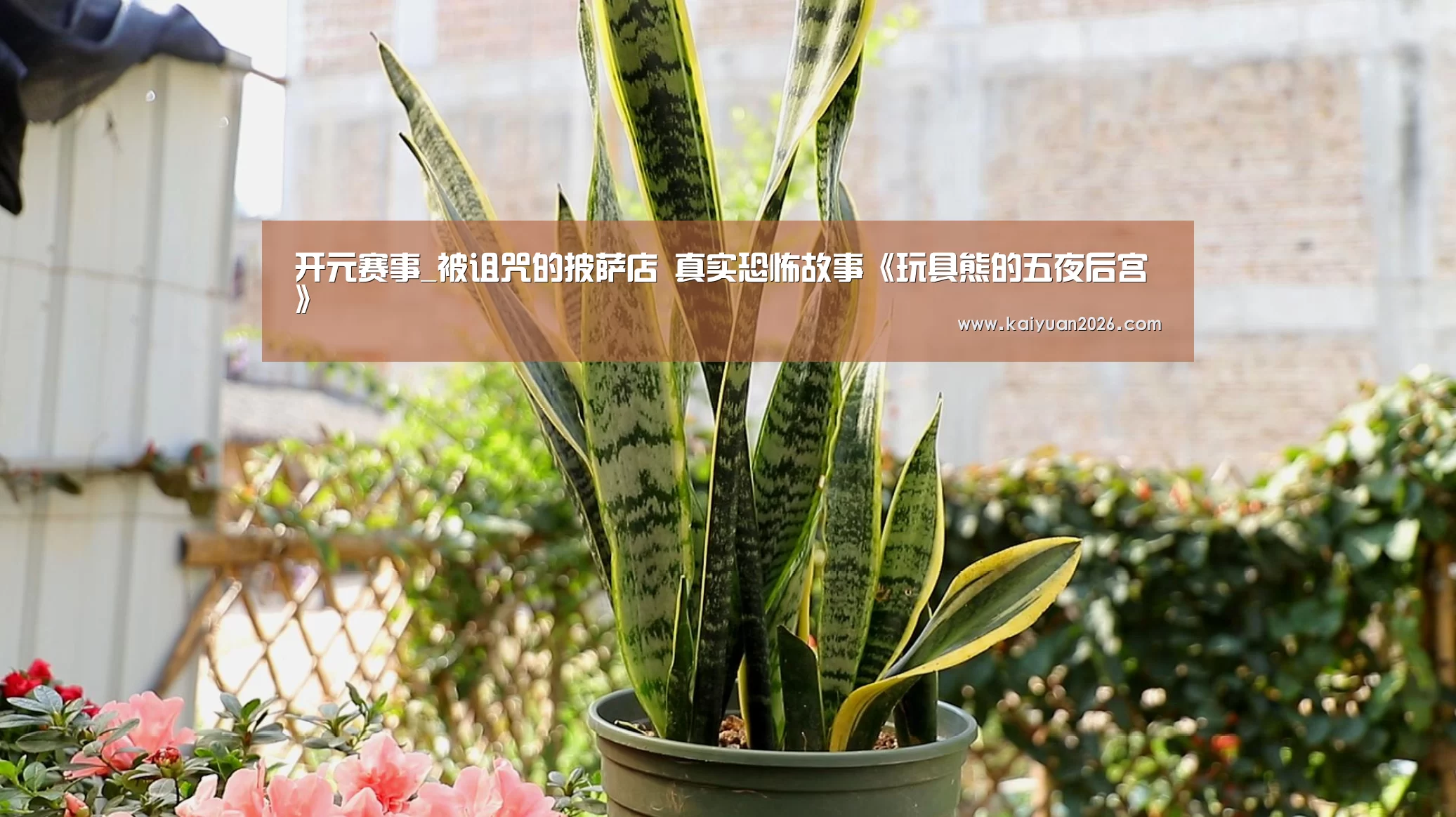 开元赛事_被诅咒的披萨店 真实恐怖故事《玩具熊的五夜后宫》(图1) 开元体育